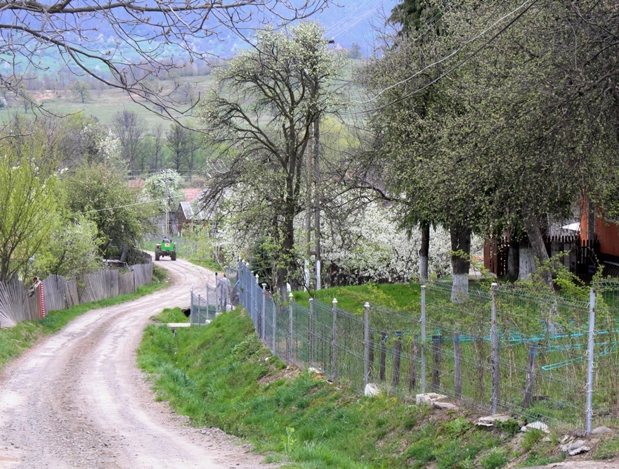 LISTA celor 8,5 kilometri de drumuri care urmează să fie ASFALTATE