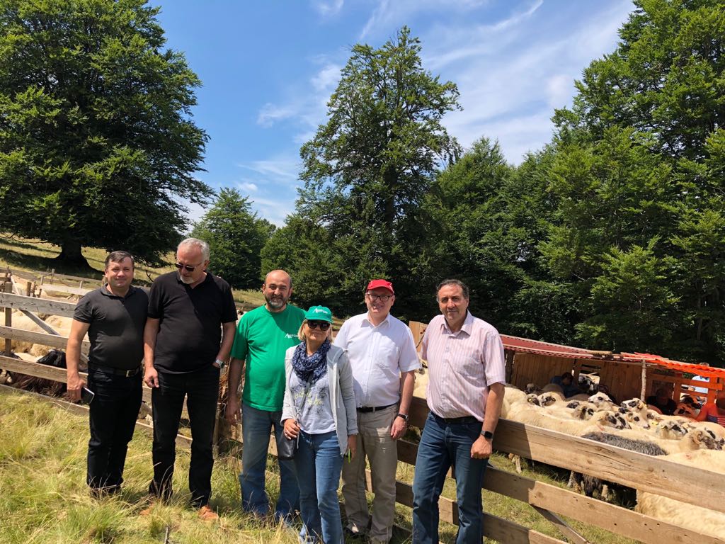 Oficiali ai Ambasadei Elveției, în vizită la stâna din Poiana Obârșii